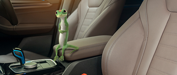 Gecko Sitting On Console