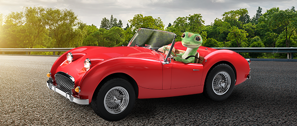 Gecko in Red Car