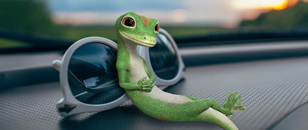 Gecko with Sunglasses